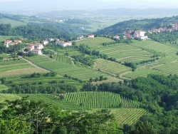 Gastronomy Tour, Slovenia gastronomy Tours
